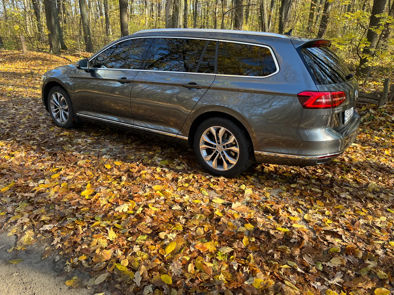 Volkswagen Passat - фото 23