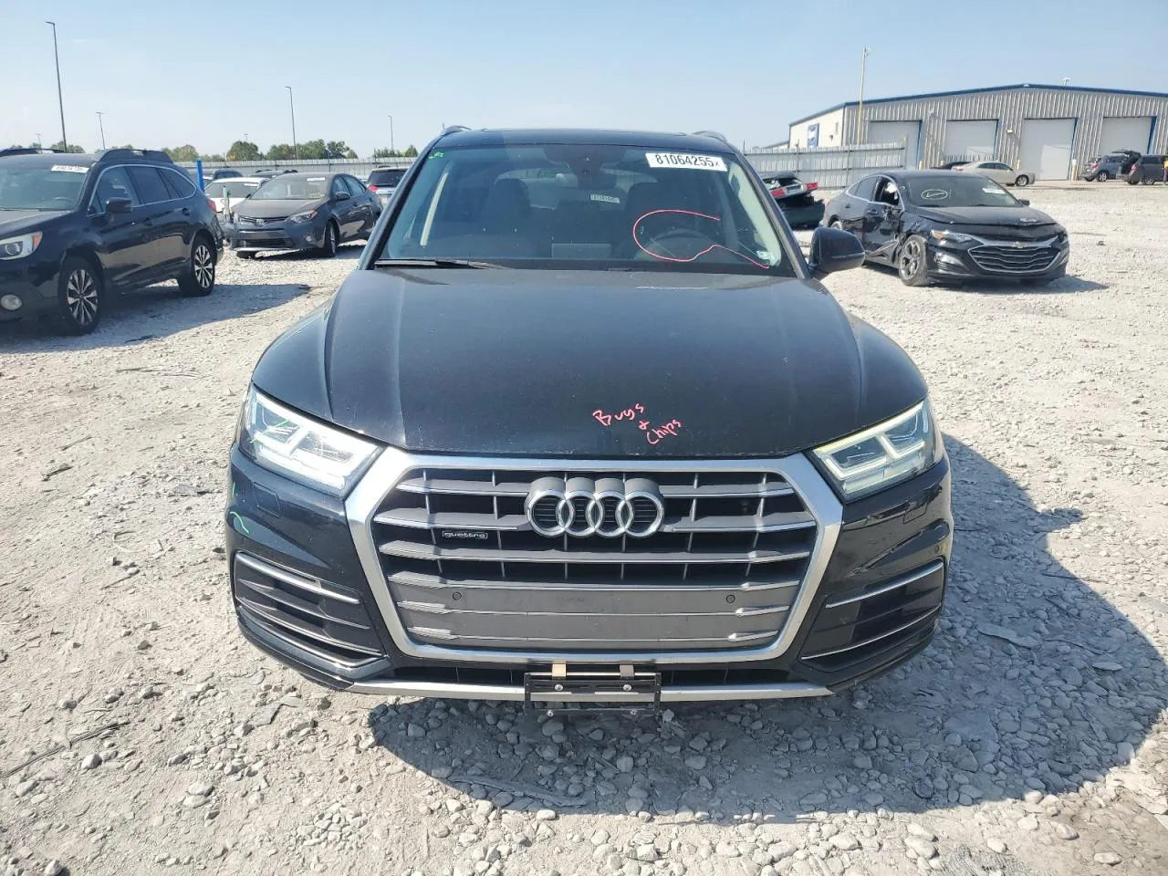 Audi Q5 - фото 5