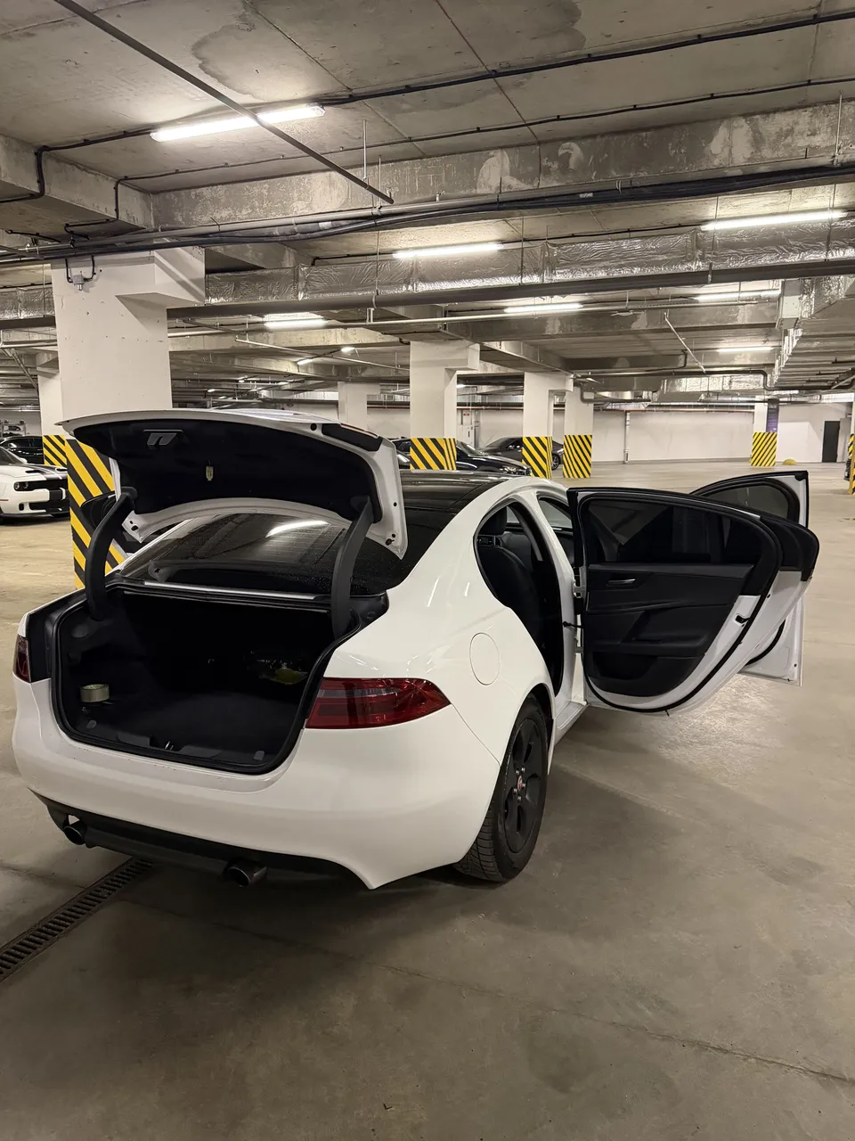 Jaguar XE - фото 27