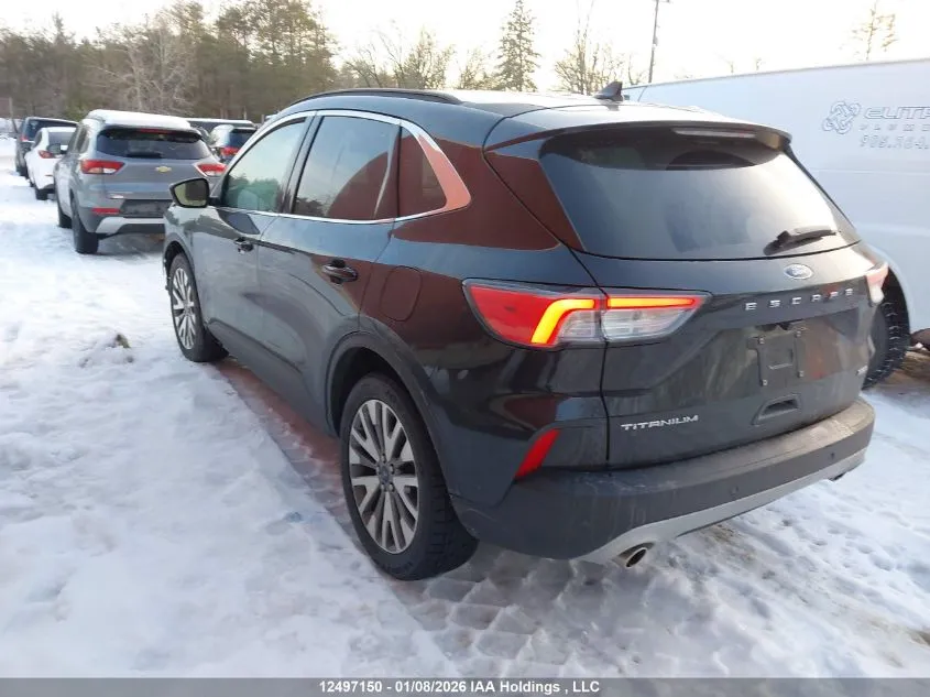 Ford Escape - фото 4