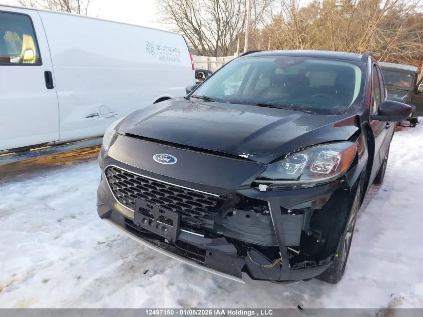 Ford Escape - фото 7