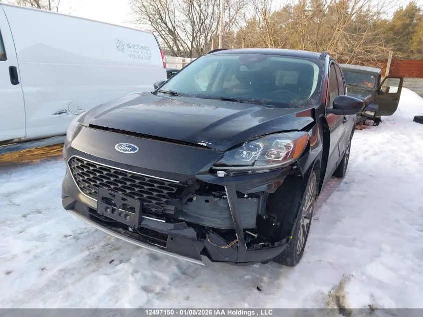 Ford Escape - фото 1