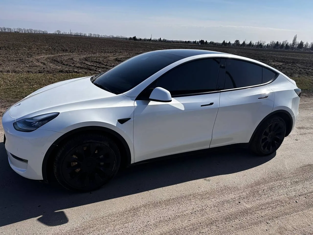 Tesla Model Y - фото 2