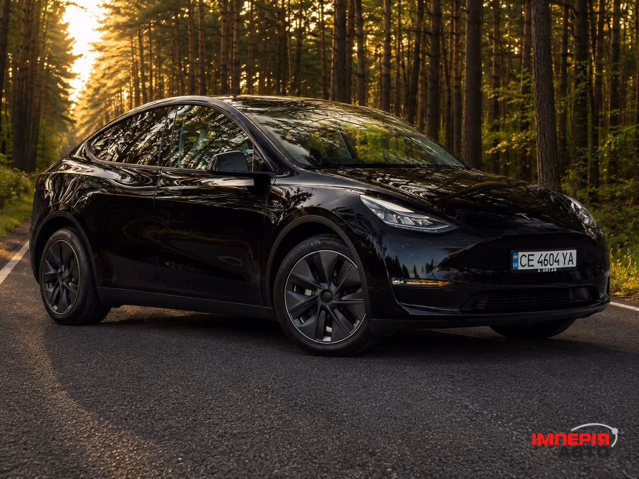 Tesla Model Y - фото 3