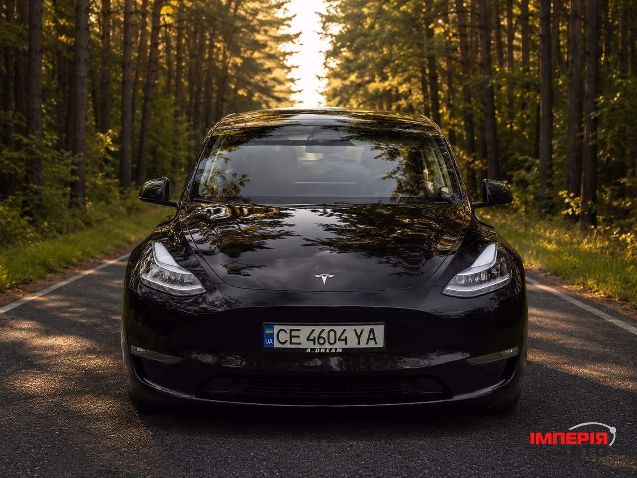 Tesla Model Y - фото 7
