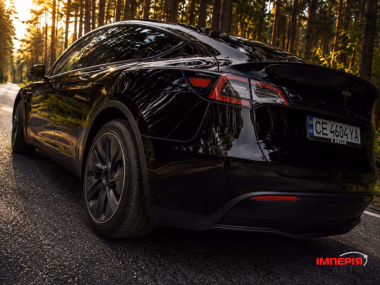 Tesla Model Y - фото 10