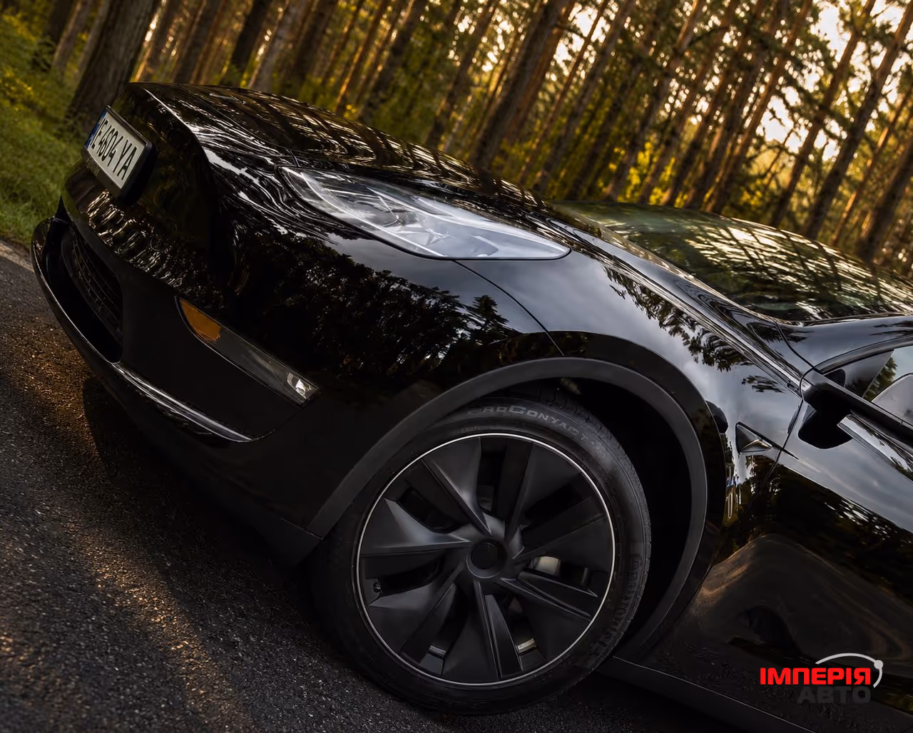 Tesla Model Y - фото 9
