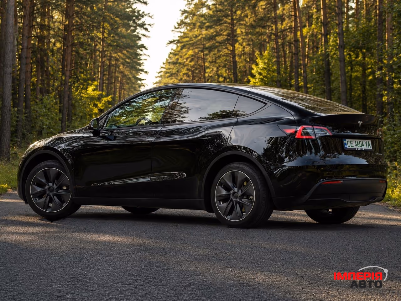 Tesla Model Y - фото 4