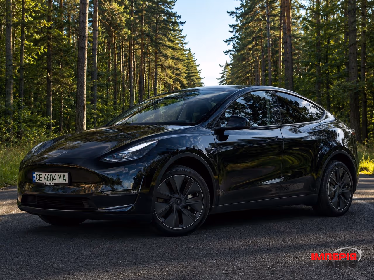 Tesla Model Y - фото 1