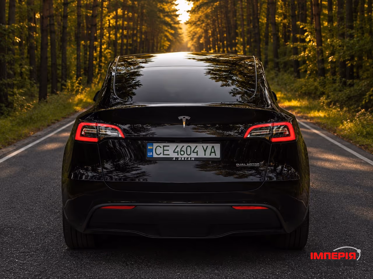 Tesla Model Y - фото 8
