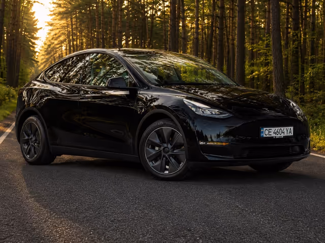 Tesla Model Y - фото 3