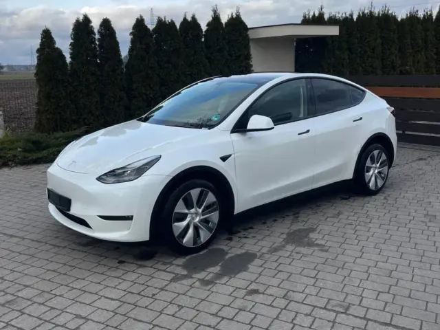 Tesla Model Y - фото 1