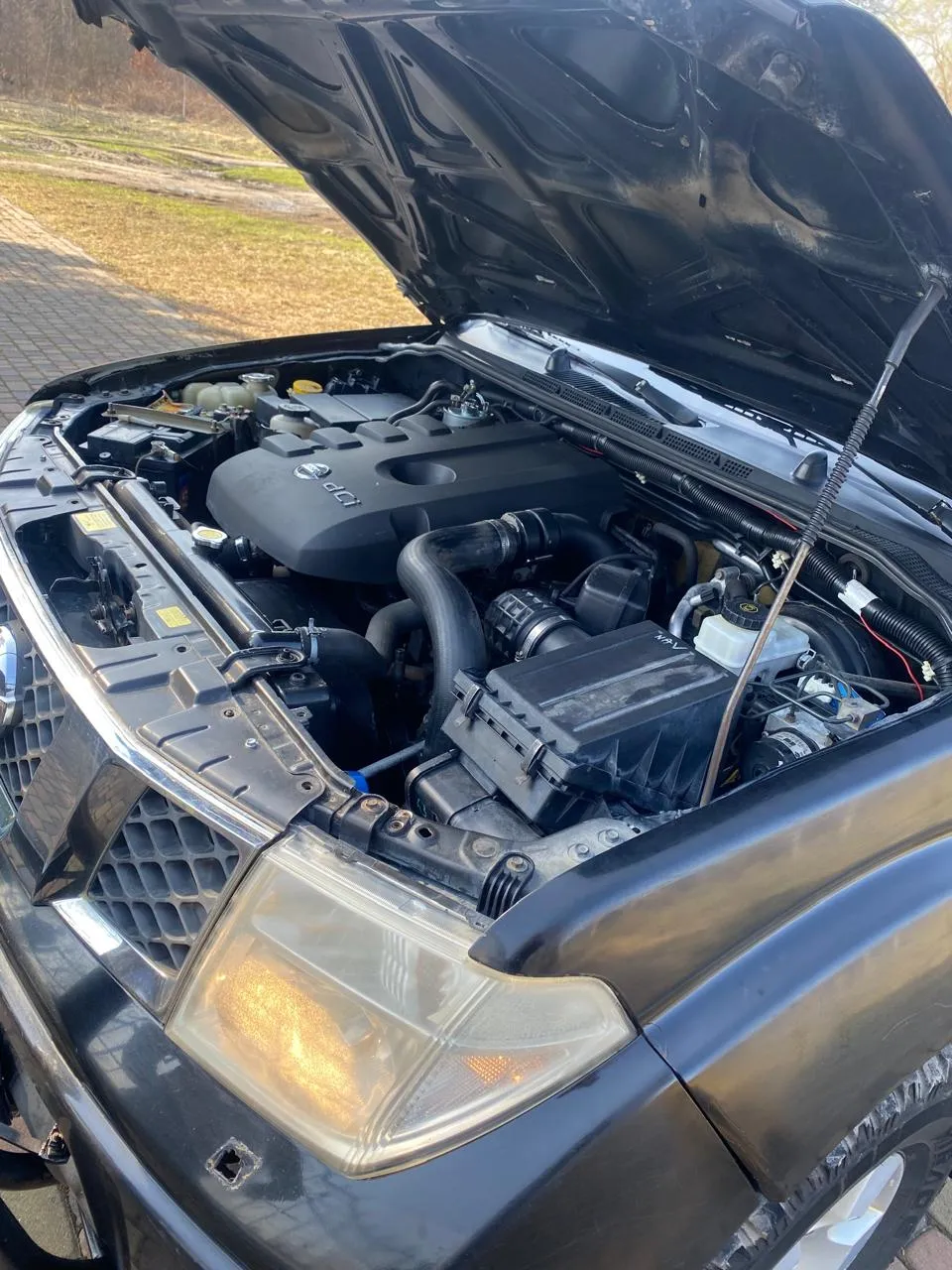 Nissan Navara (Frontier) - фото 8