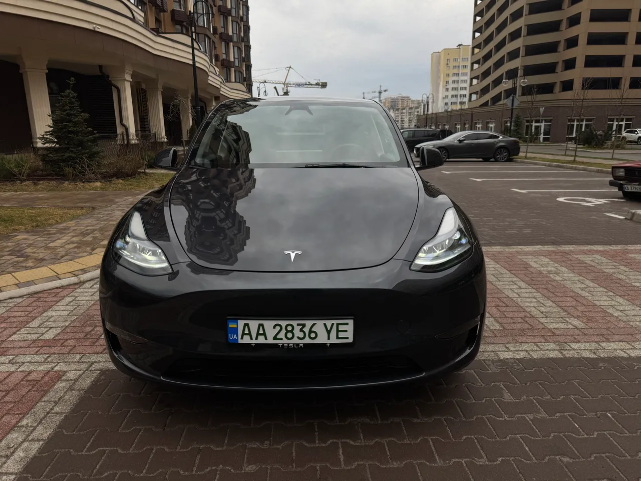 Tesla Model Y - фото 7