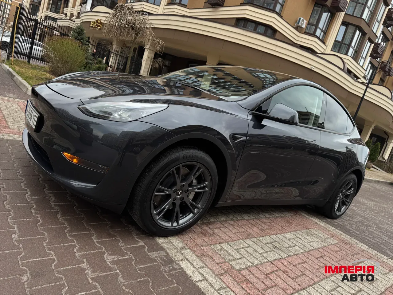 Tesla Model Y - фото 1