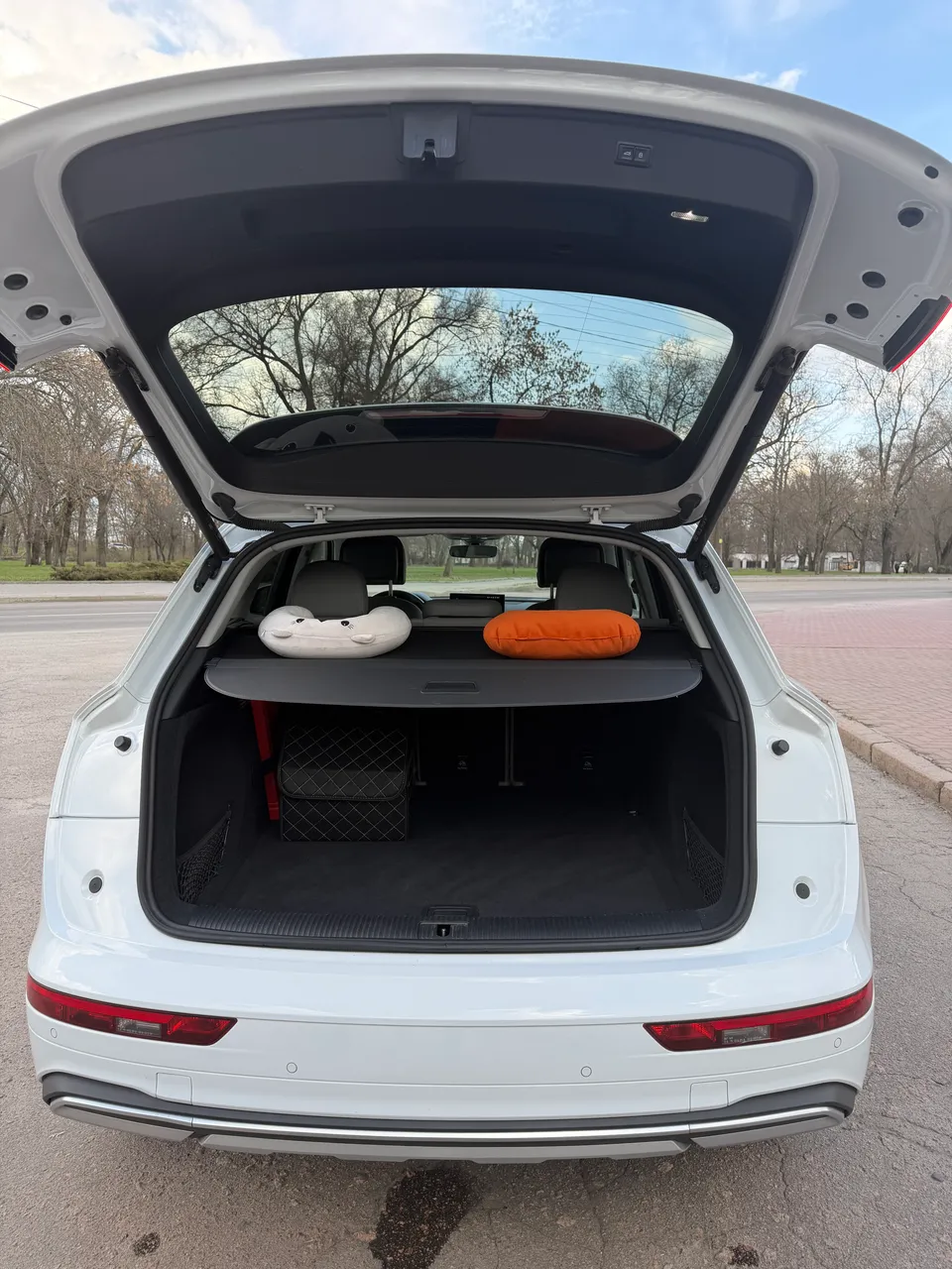 Audi Q5 - фото 11