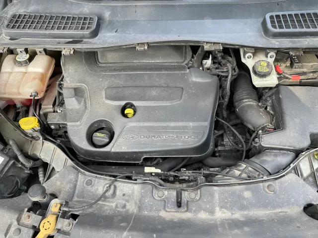 Ford Kuga - фото 2