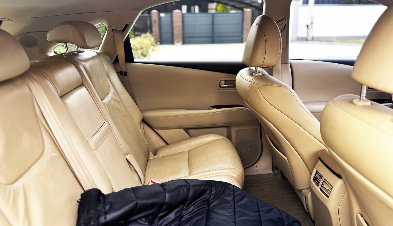Lexus RX - фото 10