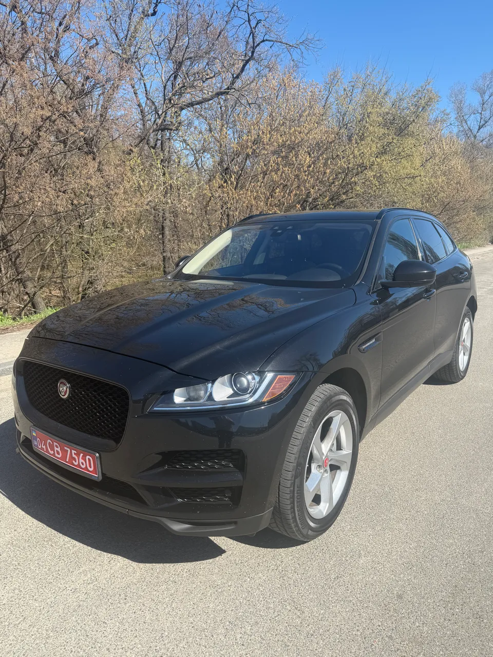 Jaguar F-Pace - фото 4