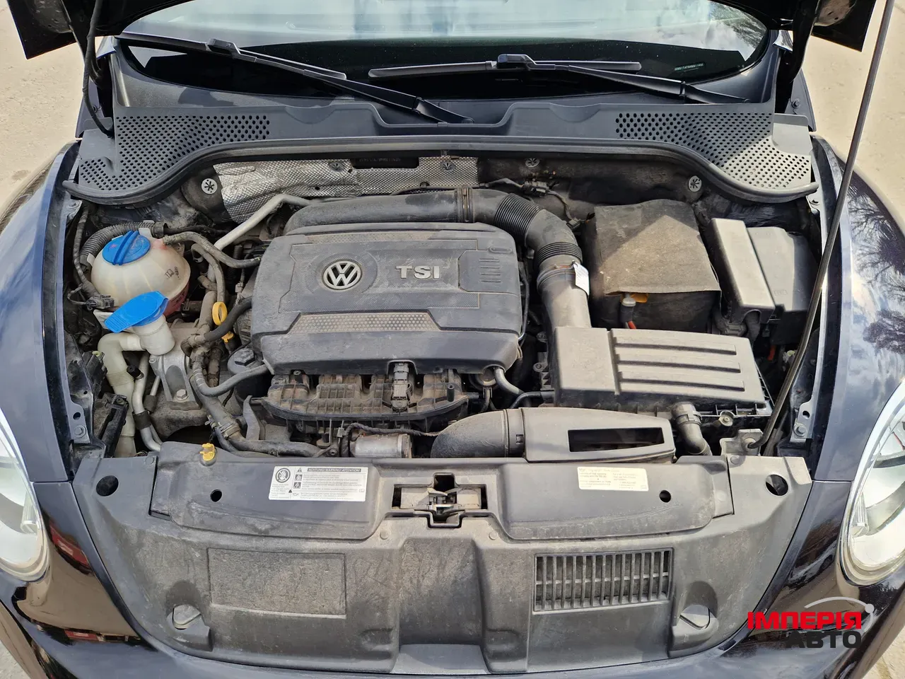 Volkswagen Beetle - фото 32