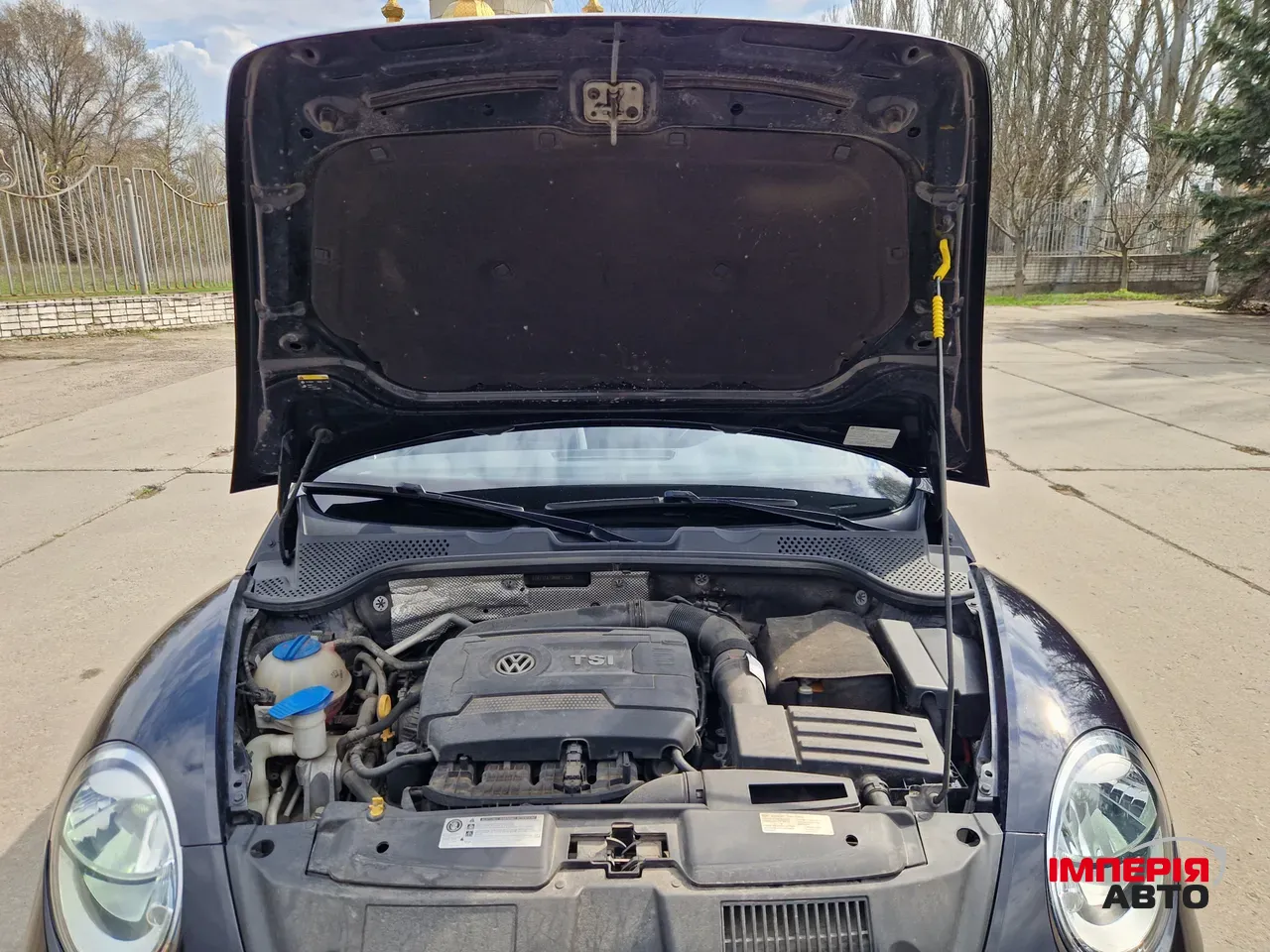 Volkswagen Beetle - фото 33