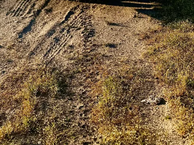 BMW 3 серії - фото 4