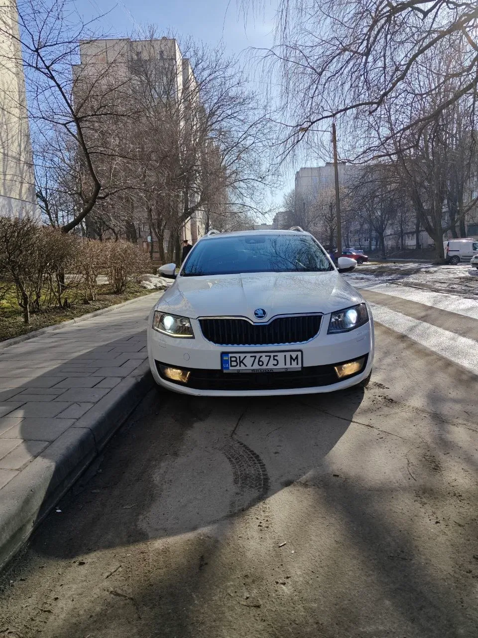 Skoda Octavia - фото 1