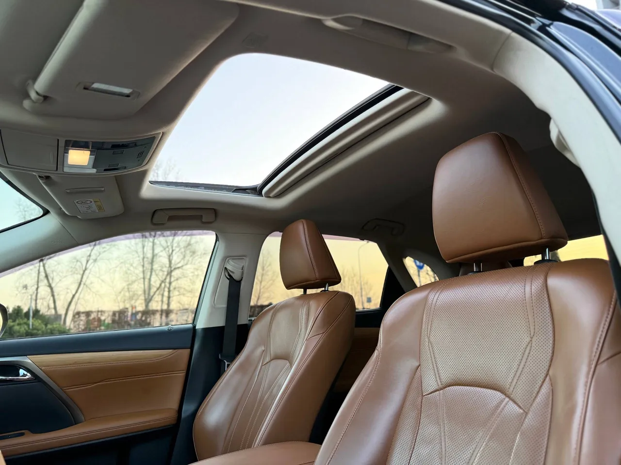 Lexus RX - фото 12