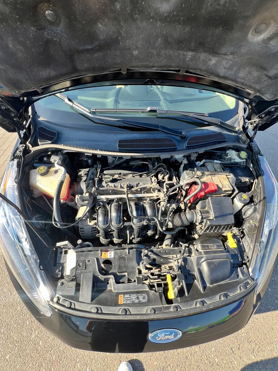 Ford Fiesta - фото 20