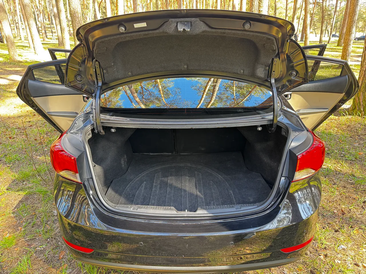 Hyundai Elantra - фото 7