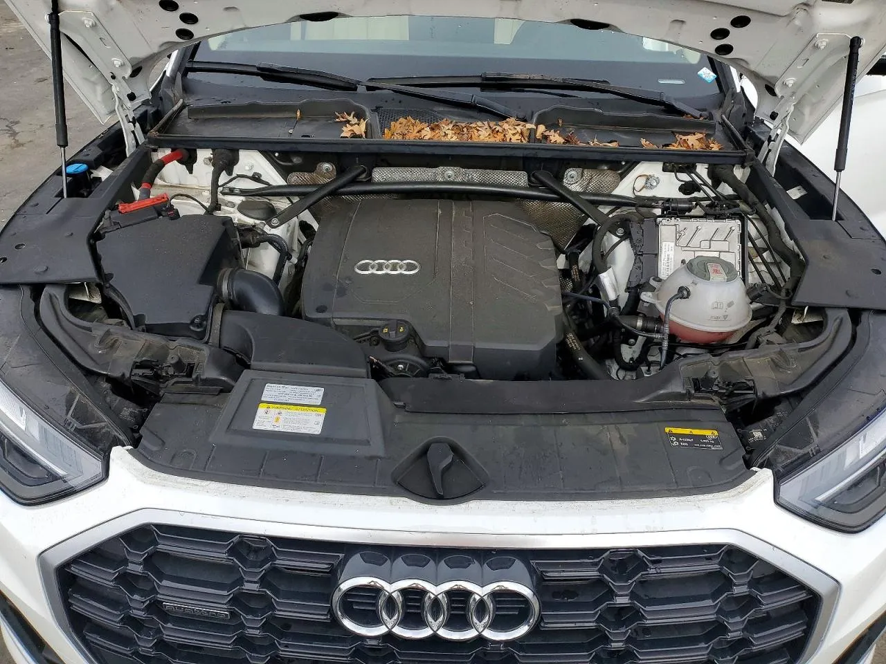 Audi Q5 - фото 12