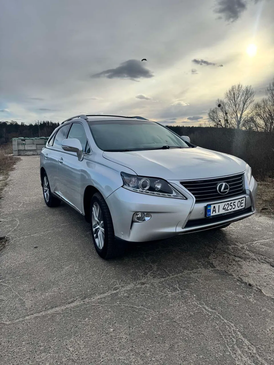 Lexus RX - фото 4