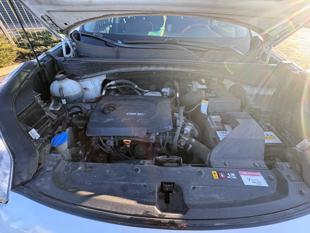 Kia Sportage - фото 21