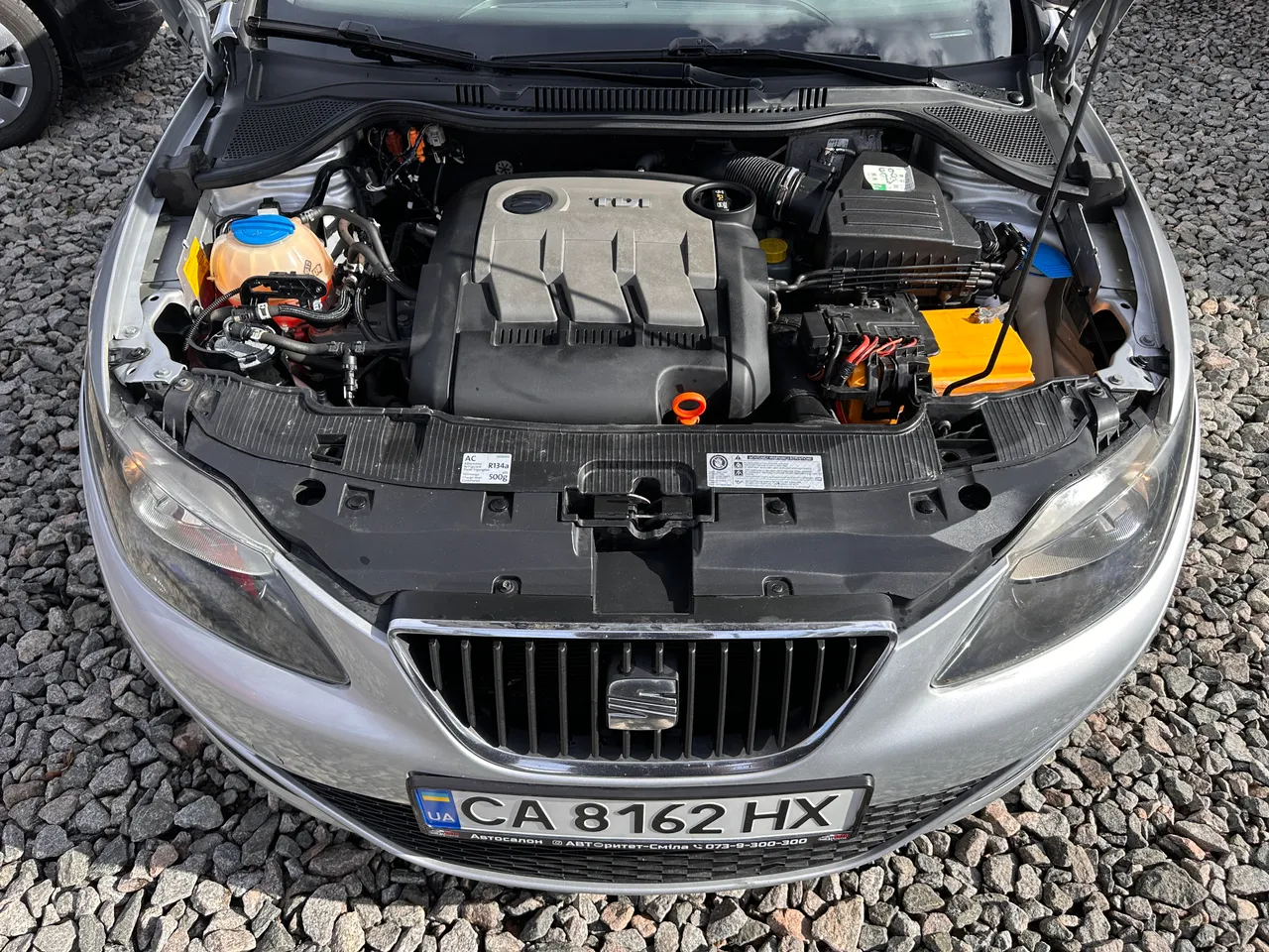 SEAT Ibiza - фото 4