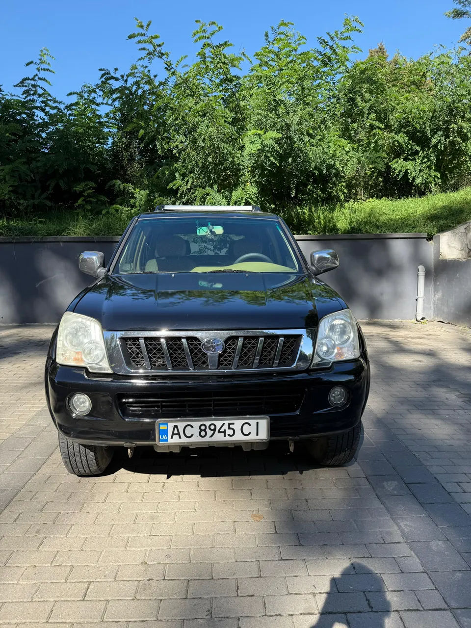 Great Wall Pegasus - фото 1