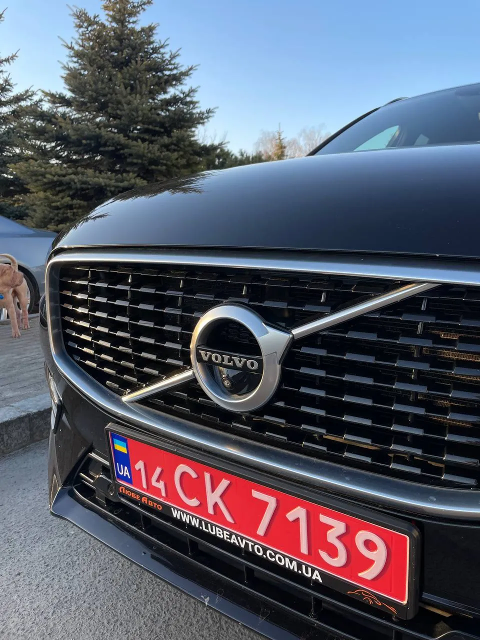 Volvo XC60 - фото 10