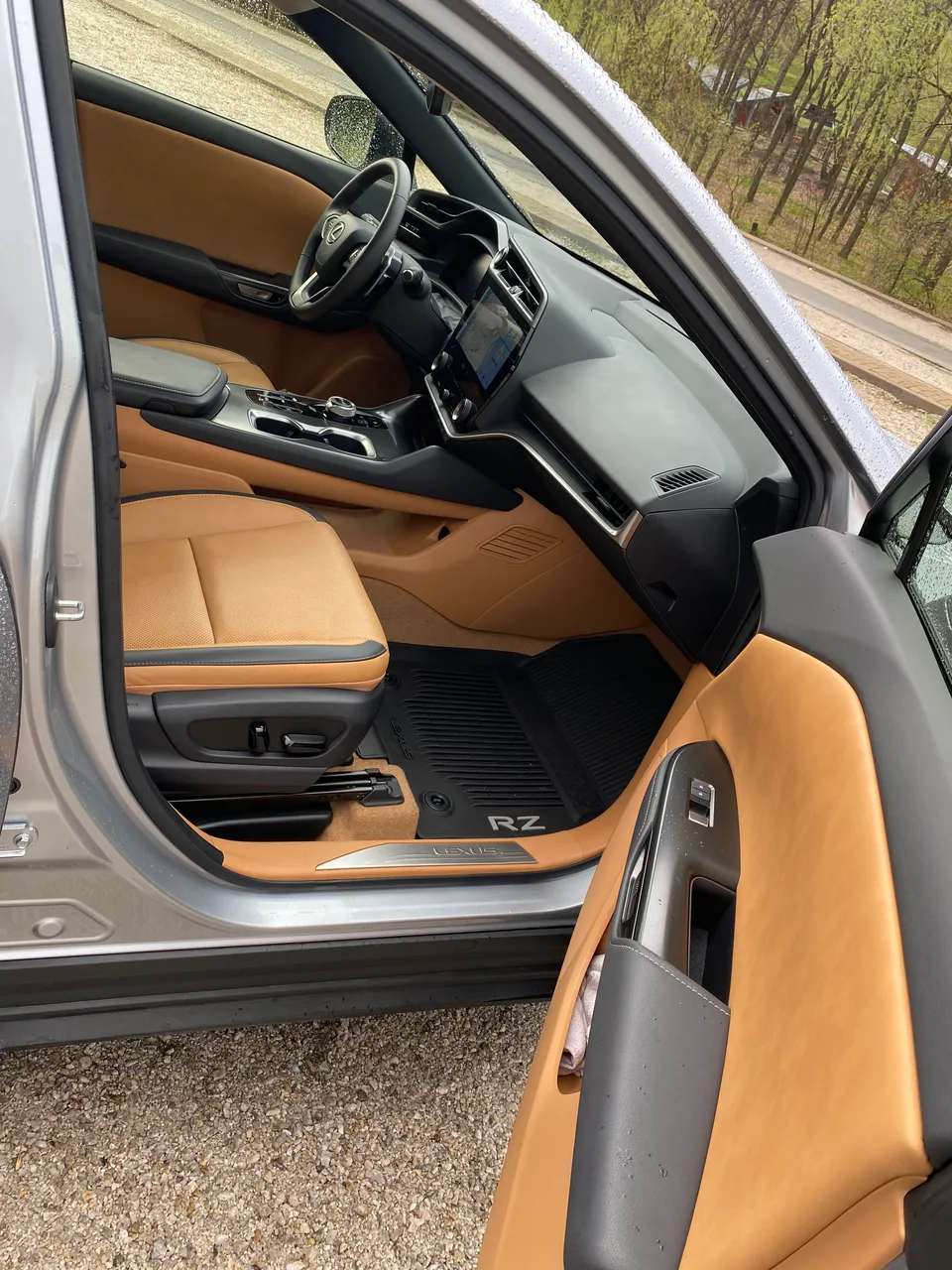 Lexus RZ - фото 17