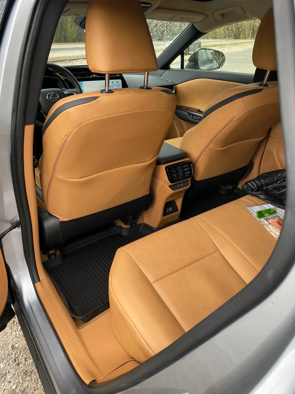 Lexus RZ - фото 13