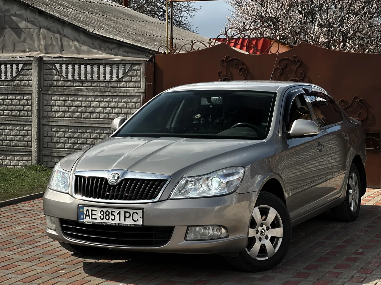 Skoda Octavia - фото 1