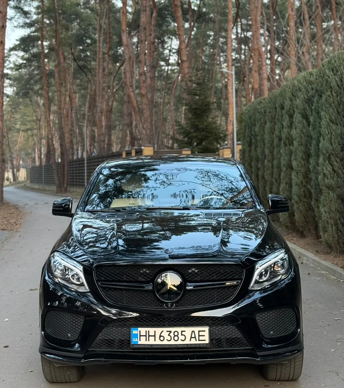 Mercedes-Benz GLE - фото 1