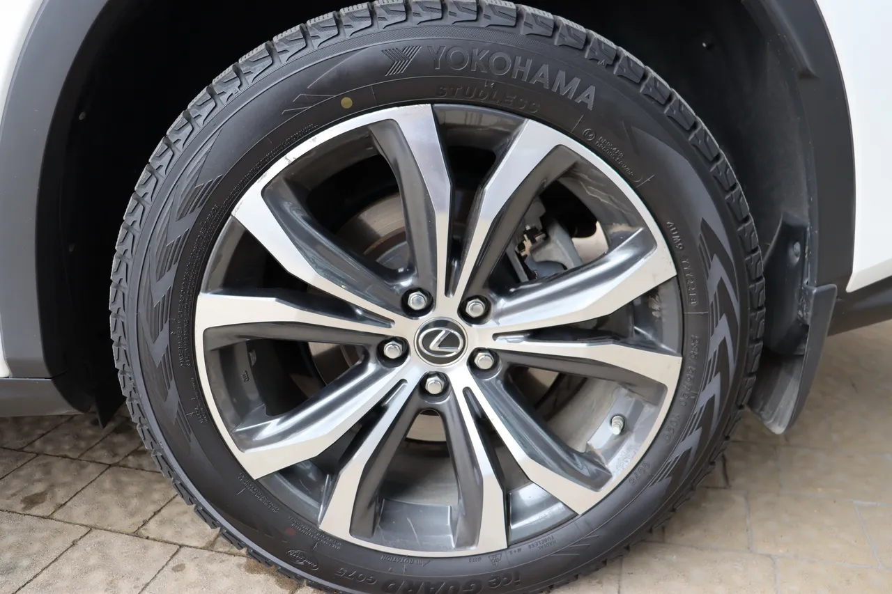 Lexus RX - фото 8