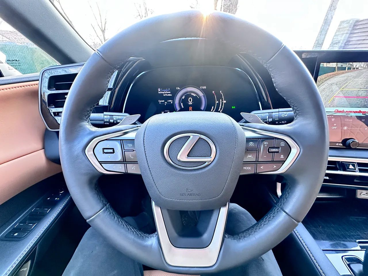 Lexus RX - фото 14