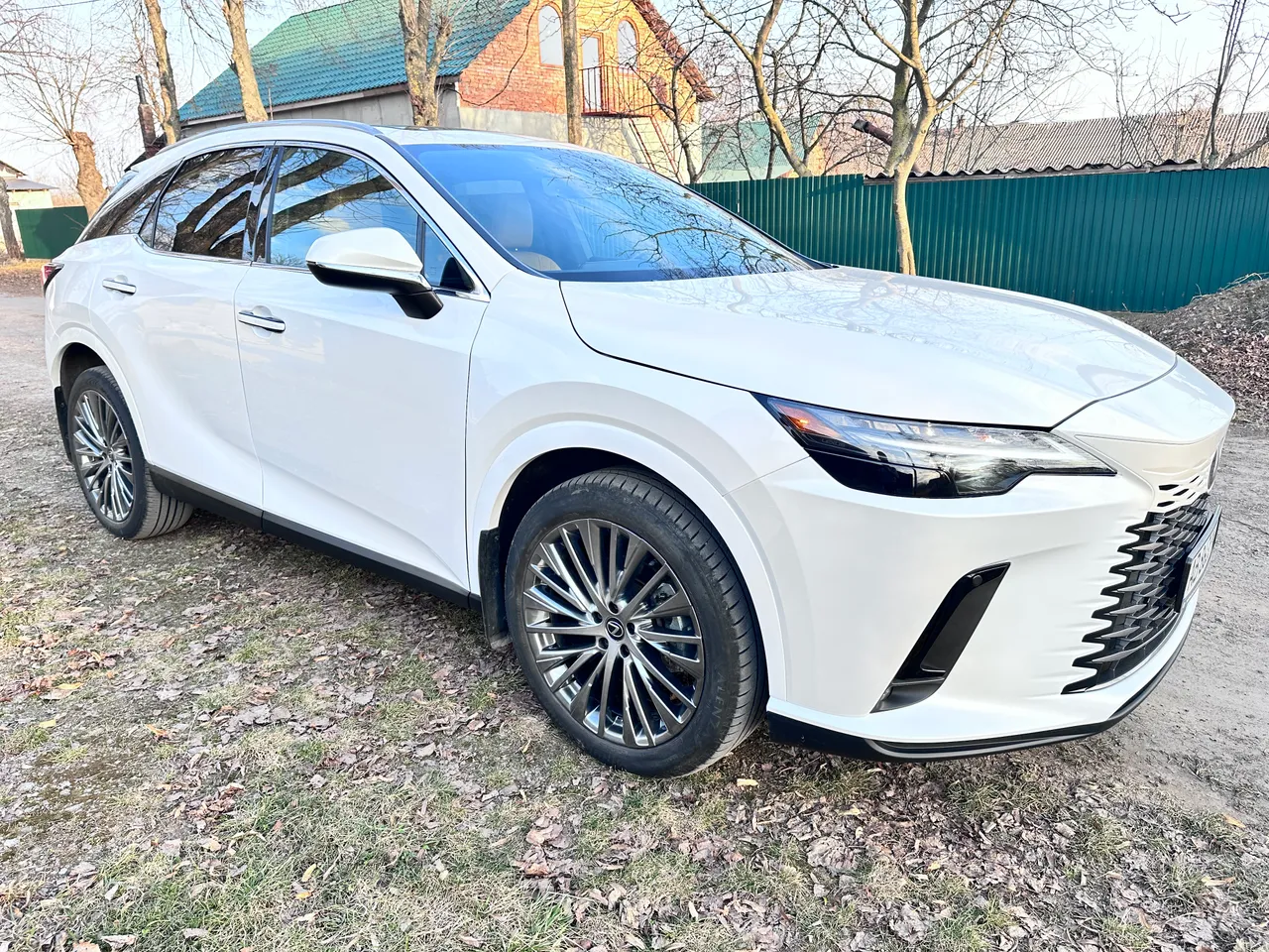 Lexus RX - фото 6