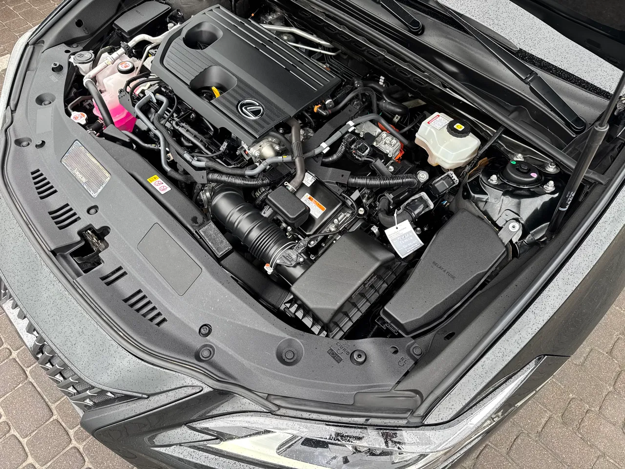 Lexus ES - фото 48