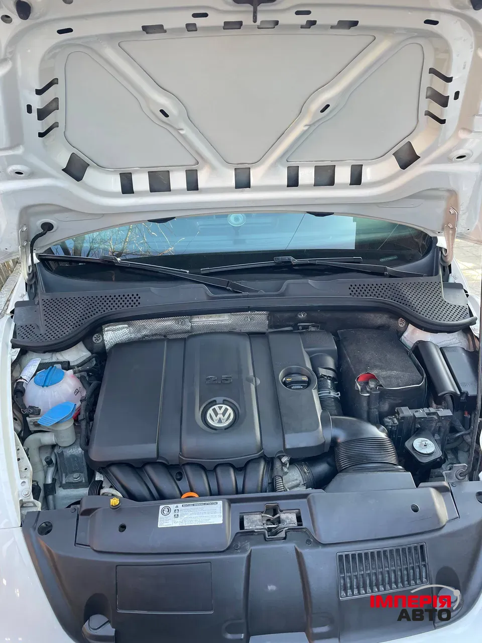 Volkswagen Beetle - фото 17