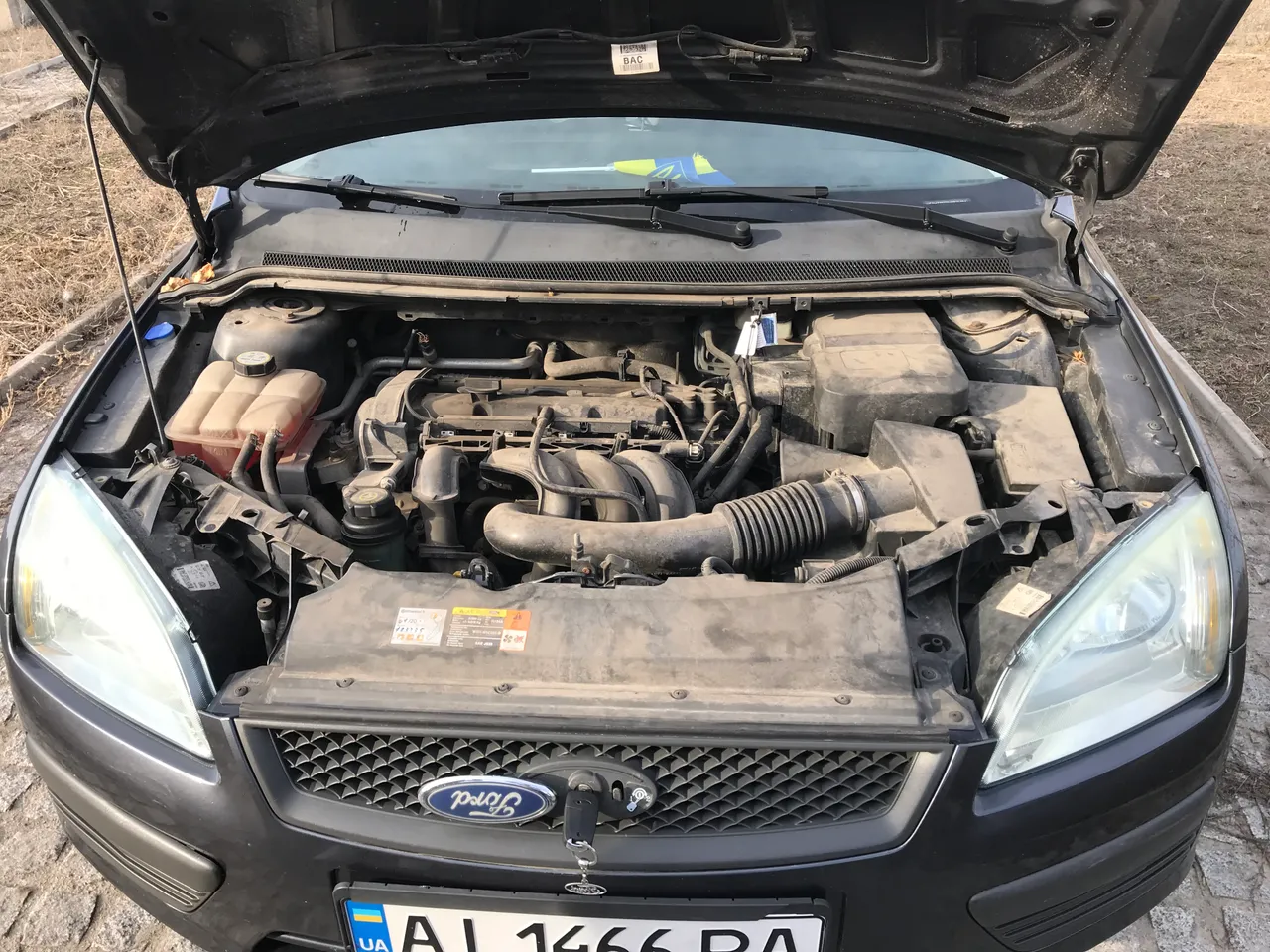 Ford Focus - фото 7