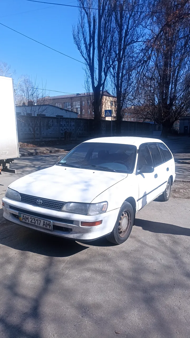 Toyota Corolla - фото 1