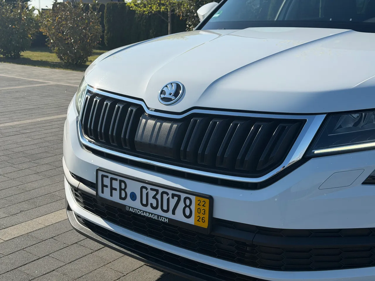 Skoda Kodiaq - фото 5