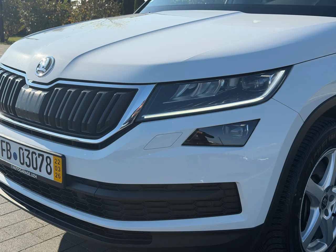 Skoda Kodiaq - фото 6