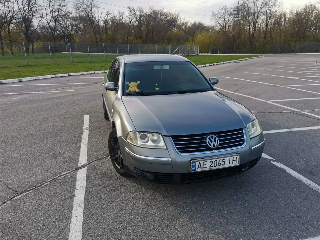Volkswagen Passat - фото 6